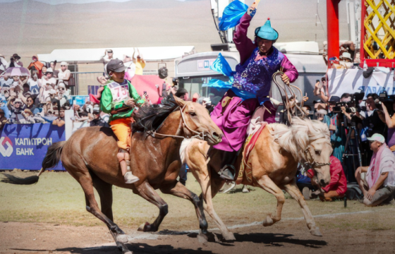 СОЁОЛОНГИЙН АЙРГИЙН ТАВД ХУРДАЛСАН ХҮЛГҮҮД