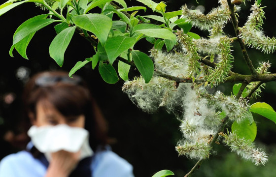 УРГАМЛЫН ХАРШЛАА ҮЛ ТООМСОРЛОСНООС БОЛООД МОНГОЛД АСТМА ӨВЧИН НЭМЭГДСЭЭР БАЙНА