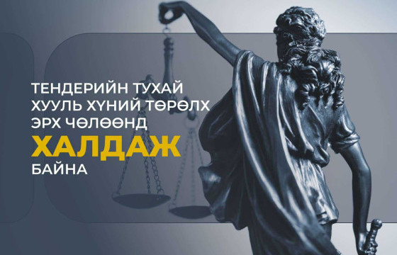 Тендерийн тухай хууль хүний төрөлх эрх чөлөөнд “халдаж” байна