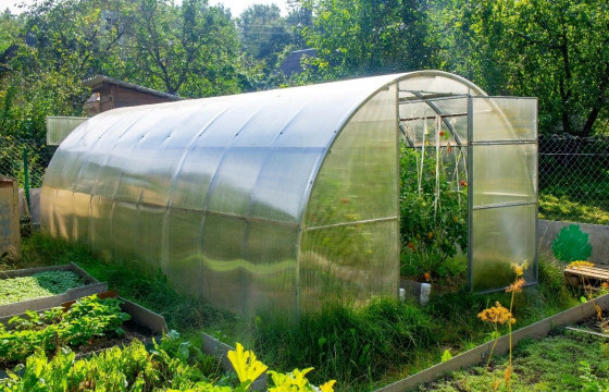 ЗӨВЛӨМЖ: ХҮЛЭМЖ БАРИХ ТАВАН АЛТАН ДҮРЭМ