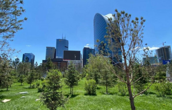 Ногоон байгууламжийн нэг га талбайн арчилгааны үнэ 150 сая төгрөг