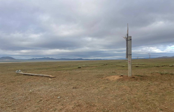 ТӨВ АЙМГИЙН ЛҮН СУМАНД СЭРГЭЭН БОСГОЛТЫН АЖИЛ ХИЙГДЭНЭ