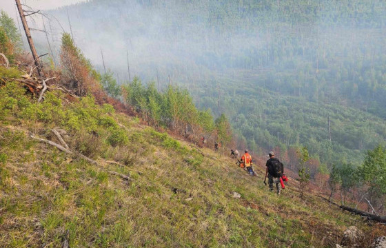 ОЙН 14 ТҮЙМРЭЭС ДОЛООГ НЬ ЦУРАМД ОРУУЛЖ, УНТРААХААР АЖИЛЛАЖ БАЙНА