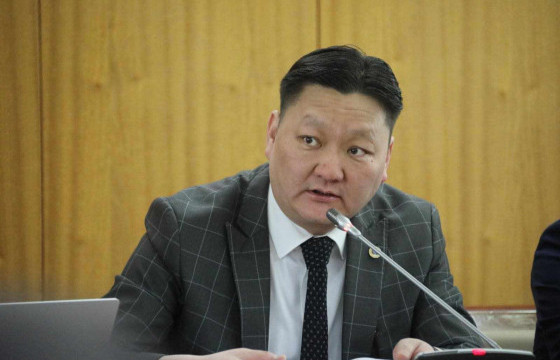 Б.ДАВААДАЛАЙ: ТӨСВИЙН ХЭЛЭЛЦҮҮЛЭГ ХОЁР ҮЕ ШАТТАЙ, ИРГЭДИЙН ОРОЛЦООТОЙ ЯВАГДАНА