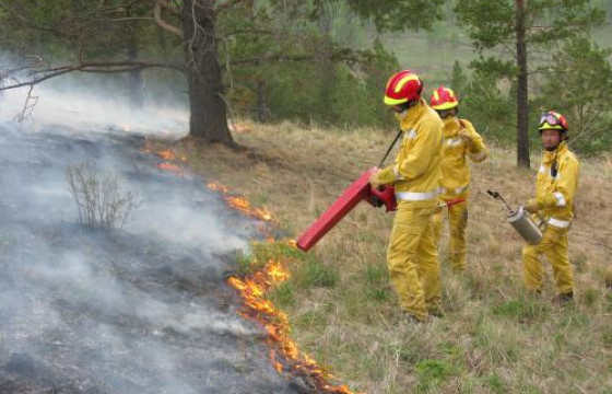 Сэлэнгэ аймгийн Хүдэр сумын Янгаахайн-Эхэд гарсан ойн түймрийг бүрэн унтраалаа