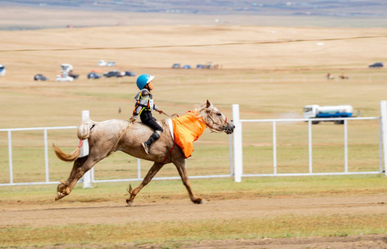“Их хурд-Х” шигшмэл морьдын уралдаан Хүй долоо худагт болно