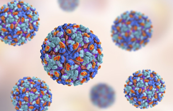 ГУАНДУН МУЖИД “CHIKUNGUNYA” ВИРУСИЙН 7000 ГАРУЙ ТОХИОЛДОЛ БҮРТГЭГДЖЭЭ