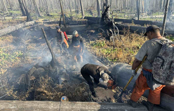 СЭЛЭНГЭ, УВС, ХӨВСГӨЛ, БАЯН-ӨЛГИЙ АЙМГУУДАД ГАРСАН ТҮЙМРИЙГ БҮРЭН УНТРААХААР АЖИЛЛАЖ БАЙНА