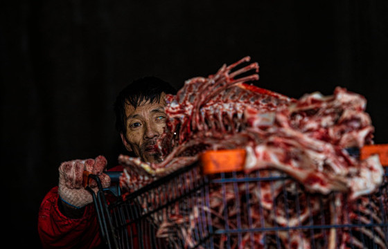 БИ “ШУЛААЧ”