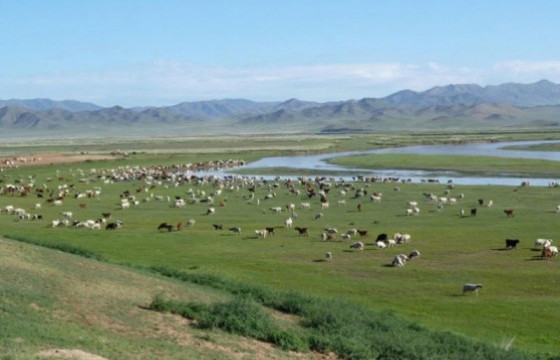 Нийт нутгийн 22 хувьд гандуу, 17 хувьд гантай байна