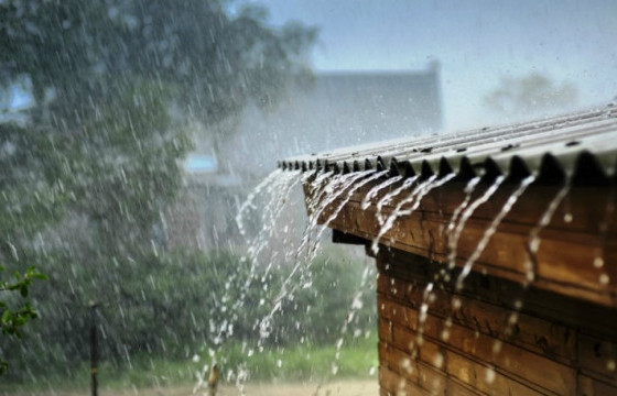 Маргааш Улаанбаатар хотод усархаг бороо үргэлжлэн орно