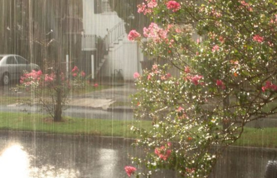 ТАНИЛЦ: БОРООТОЙ ӨДӨР СОНСОХ ТАВАН ДУУ