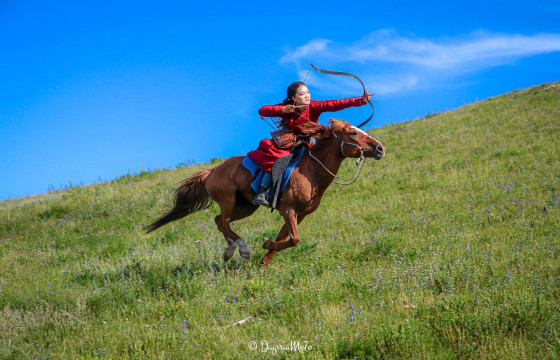 Морьт харвааны дэлхийн аварга өнөөдөр Тайж хайрханд эхэлнэ