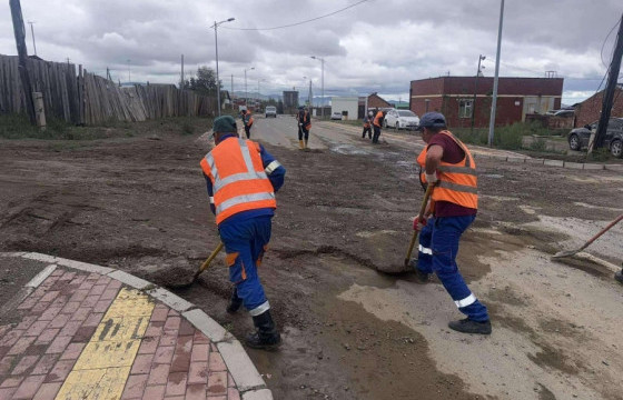 ТҮК-ийн 1150 ажилтан нийтийн эзэмшлийн гудамж, талбайг цэвэрлэж байна