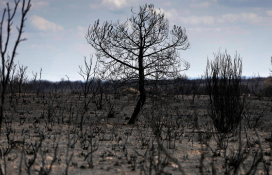  ИСПАНИД ХЭТ ХАЛСНЫ УЛМААС 1100 ГАРУЙ ХҮН АМИА АЛДЖЭЭ