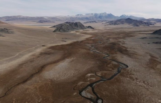 Гангийн улмаас дэлхийн олон орон ургац алдахад хүрчээ