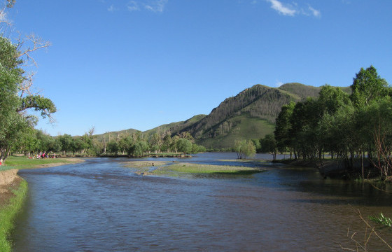 Согтууруулах ундаа хэрэглэсний улмаас 26 настай иргэн голд живж амиа алджээ