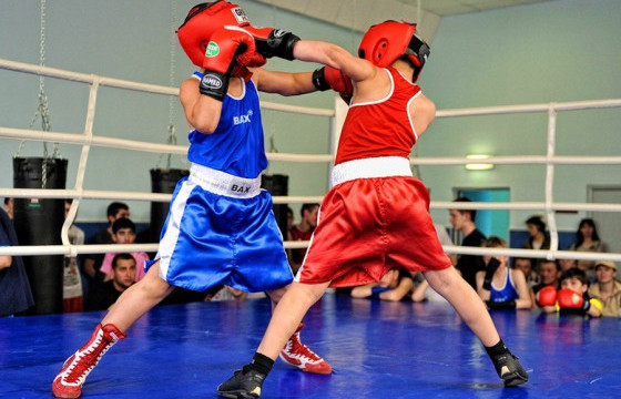 Манай боксчдын тулааны хуваарь гарлаа