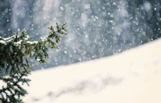 Зарим нутгаар нойтон цас орно