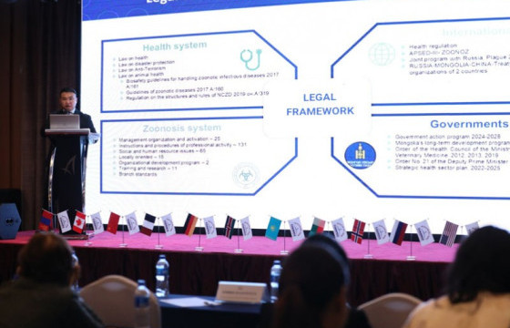 Олон улсын эрдэмтэн, судлаачид тарваган тахлын эсрэг хэрэгжүүлэх гарц шийдлийг хэлэлцэж байна