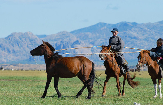 Хоршооны малчдад нийт 839 тэрбум төгрөгийн зээл олгожээ