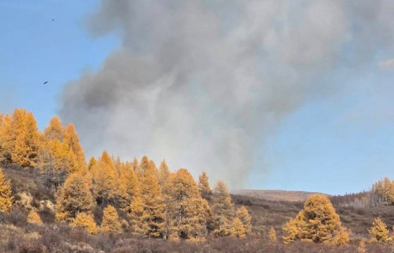 Хөвсгөл аймгийн Цагааннуур суманд ойн түймэр гарчээ
