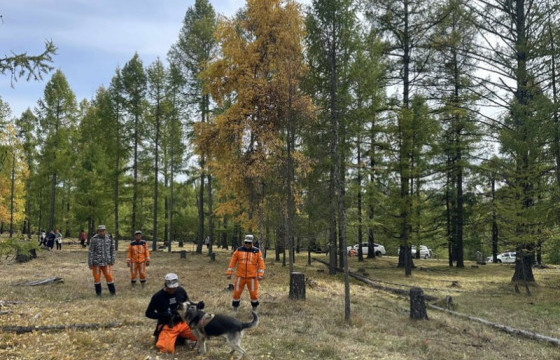 Эрлийн ажиллагаанд “могойн нүдэн дуран” ашиглаж байна