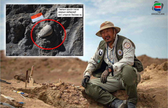 Б.МАЙНБАЯР: 115 САЯ ЖИЛИЙН НАСТАЙ “ЦУЛ ТОЛГОЙТ” ҮЛЭГ ГҮРВЭЛИЙН ХОДООД ЧУЛУУТАЙ, НУРУУ, ААРЦАГ НЬ ШӨРМӨСТЭЙГӨӨ ОЛДСОН НЬ ШИНЭ НЭЭЛТ БОЛЛОО