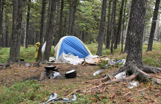 ХӨВСГӨЛИЙН ТАРИАЛАН СУМД САМАРТ ЯВСАН 46 НАСТАЙ ЭМЭГТЭЙ СУРАГГҮЙ АЛГА БОЛЖЭЭ