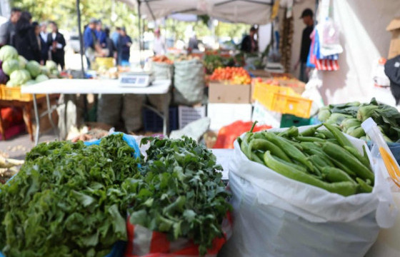 “Намрын ногоон өдрүүд-2025” Төв цэнгэлдэх хүрээлэнд энэ сарын 28-ны өдөр хүртэл үргэлжилнэ