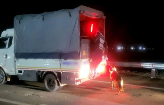 “Тархцын хяналт-2025” нэгдсэн арга хэмжээний хүрээнд 21 гэмт хэргийг илрүүллээ