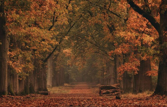 ЗҮРХНИЙ УЛИРАЛ