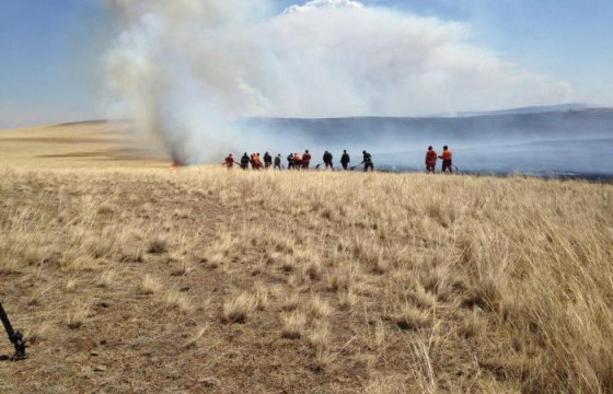 Ой, хээрийн дөрвөн түймрийг бүрэн унтрааж, хоёр түймрийг унтраахаар ажиллаж байна