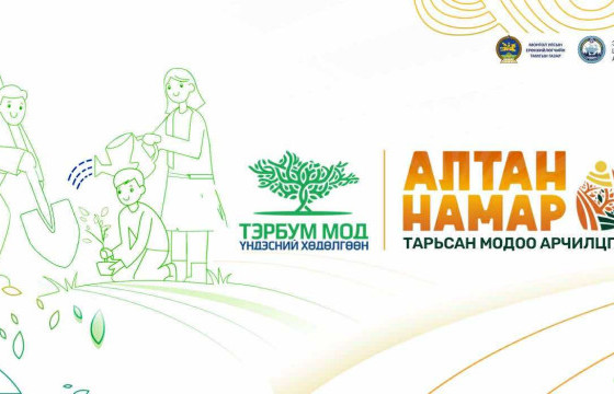 Модны үндсийг навчсаар хучвал сайн бордоо болдог