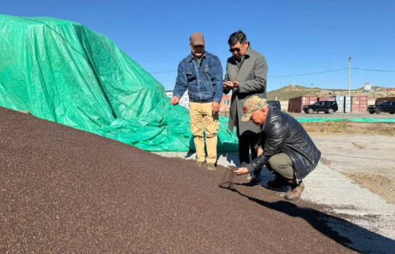 Тосны ургамлын 2100 тонн нөөц бүрдүүлээд байна