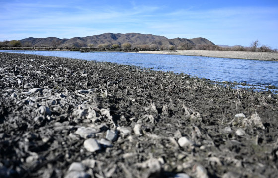 Х.НЯМБААТАР: Туул голыг ихээр бохирдуулж буй 80 ААН хуулиа мөрдөж, урьдчилан цэвэрлэх байгууламж барих ёстой