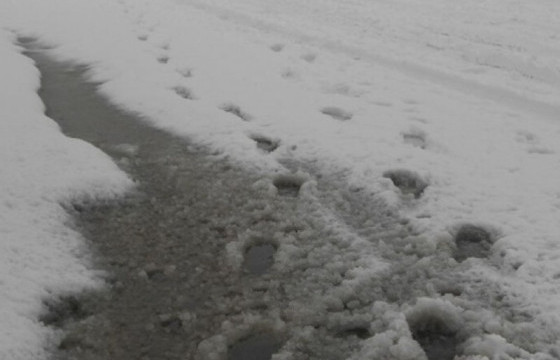 18 мм хүртэл хэмжээтэй бороо, нойтон цас, цас орлоо