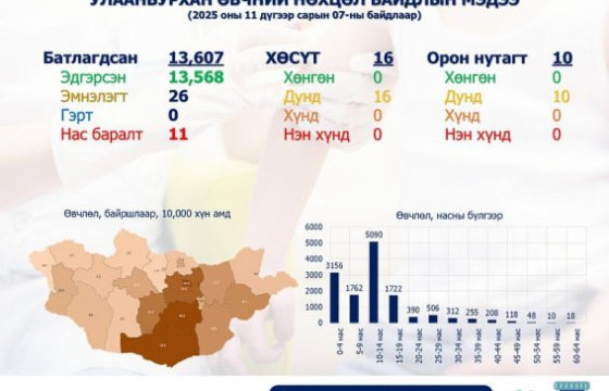 ХӨСҮТ: Улаанбурхан өвчний нийт батлагдсан тохиолдол 13607 болжээ