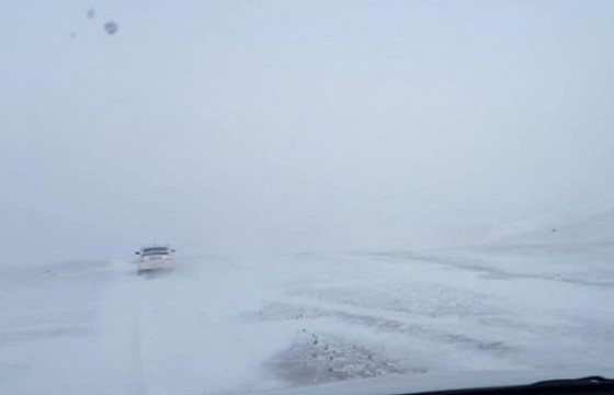 Уулархаг нутгаар цас орж, цасан шуурга шуурна