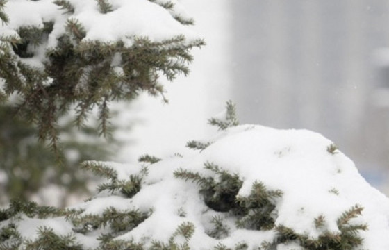 ЦАГ АГААР: Улаанбаатарт өдөртөө 9 хэм хүйтэн