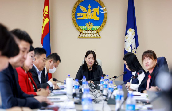 БҮСЧИЛСЭН ХӨГЖЛИЙН ХОРОО ДАРААХ АСУУДЛУУДЫГ ХЭЛЭЛЦЛЭЭ