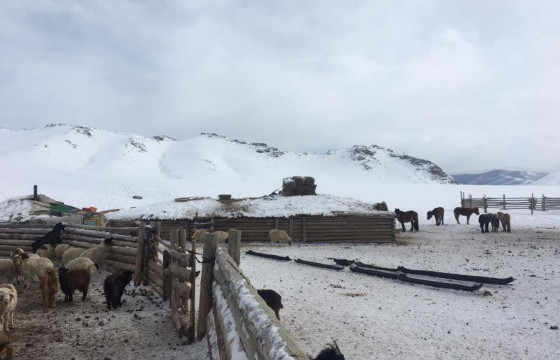 Малынхаа араас яваад төөрсөн 42 настай иргэнийг эсэн мэнд олжээ