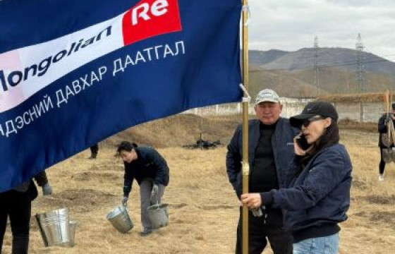 “ҮНДЭСНИЙ ДАВХАР ДААТГАЛ” ХК-ИЙНХАН МОД ТАРИВ.