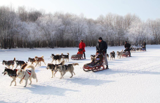 ӨВЛИЙН АМРАЛТАА ҮР ДҮНТЭЙ ӨНГӨРӨӨХ АРГУУД