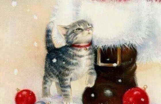 ЦАСАН ДООРХ ДУЛААХАН ХҮСЛҮҮД