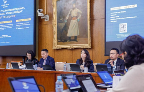 Зөвшөөрөл гэж нэрлээгүй ч бизнес эрхлэхэд иргэдээс шаарддаг 1000 гаруй баримт бичиг хүнд суртал үүсгэж байна