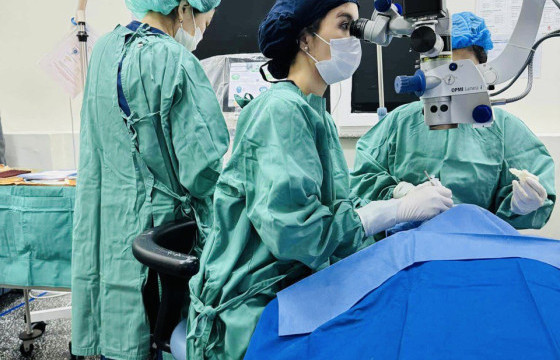 НҮДНИЙ ДАРАЛТ ИХСЭХ ӨВЧНИЙ МЭС ЗАСЛЫН ШИНЭ ТЕХНОЛОГИЙГ МОНГОЛ УЛСАД АМЖИЛТТАЙ НЭВТРҮҮЛЛЭЭ