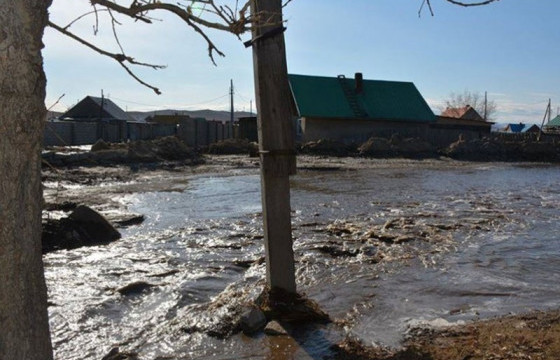 Шар усны үерийн аюулаас сэрэмжлүүлж байна